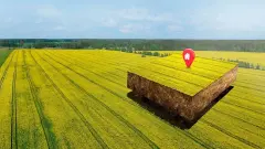 Topraksız Köylüye 'Hazine' Piyangosu: 2026 Devlet Arazisi Kiralama Şifreleri ve 60 Dönümlük Sarsıcı Limit Deşifre Oldu! - Tarım Haber