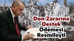 Meyve Üreticilerine Kırmızı Alarm: Don Zararına Uğrayan Çiftçiler İçin Valilik Destek Başvuruları Başladı! İşte İstenen Belgeler - Tarım Haber