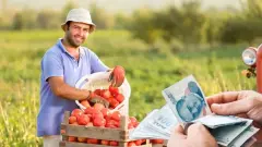 Gelecek Toprakta Filizleniyor: Genç Çiftçilere 7 Milyon TL'ye Varan 'İlk Sermaye' Silsilesi - Tarım Haber