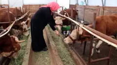 Kadın Üreticiye Devasa Finansman: Ziraat Bankası’ndan 3 Milyon TL’lik Sarsıcı Kredi Müjdesi! - Tarım Haber