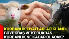 Meralarda Bahar Hareketliliği: Küçükbaş Hayvan Piyasasında Nisan Ayı Canlı Kilo ve Kurbanlık Fiyatları Netleşti! - Tarım Haber