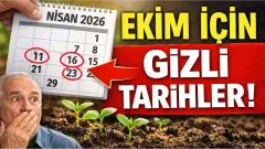 Toprakla Tohumun Buluşması: Nisan 2026 Bölgesel Ekim Takvimi ve Hasat Şifreleri! - Tarım Haber