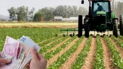 Toprağın Sarsılmaz 'Bonus' Dönemi: Planlı Üretime Geçenlere Çifte Destek Silsilesi - Tarım Haber