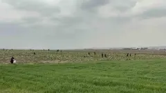 İklimin Sarsılmaz Takibi: Nisan 2026 'Erken Uyarı' Silsilesiyle Kuraklığa Karşı Teyakkuz - Tarım Haber