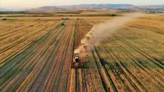 Tarlalarda Boş Arazi Depremi: Toprağını Sürmeyen Çiftçinin Tarımsal Destekleri Kesiliyor! - Tarım Haber