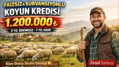 Ziraat Bankası’ndan Küçükbaş Hayvancılıkta Sarsıcı Fırsat: 100 Baş Koyun İçin 2 Yıl Ödemesiz, Sıfır Faizli Kredi!